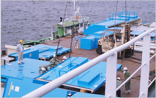 STEVEDORING WORKS